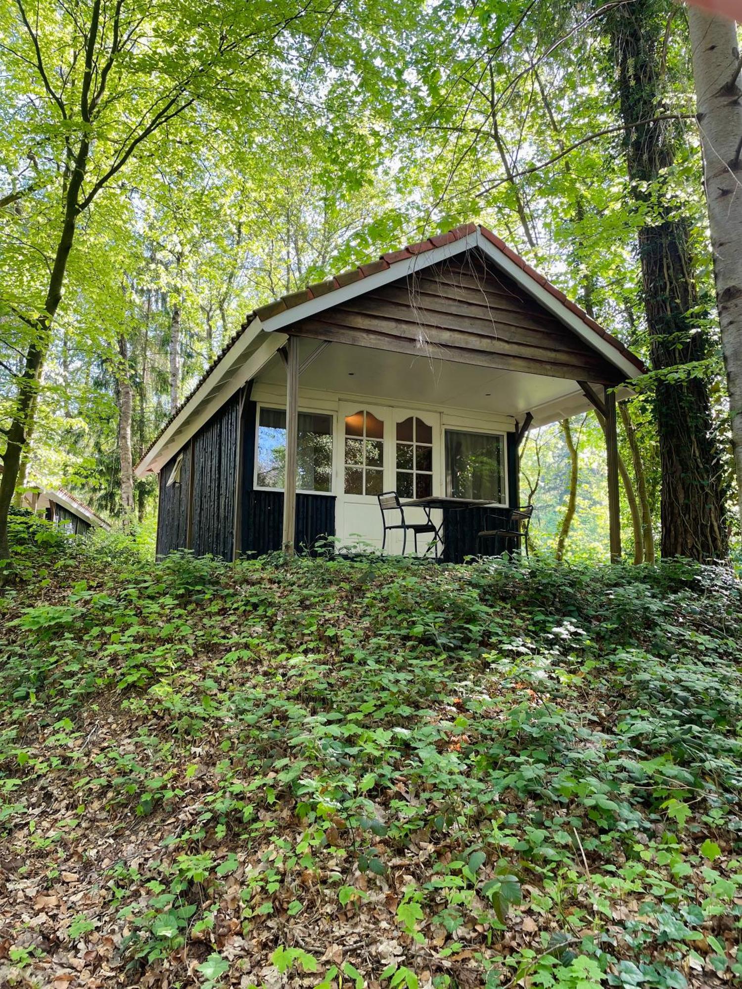 Landgoedhotel Villa Vennendal Nunspeet Exteriér fotografie